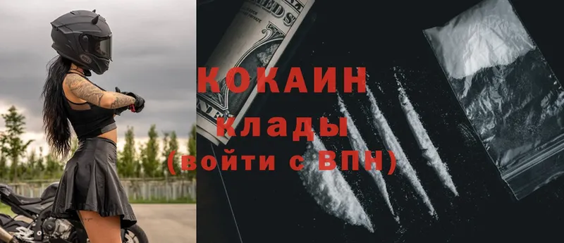 где купить наркоту  Курчатов  Cocaine 98% 